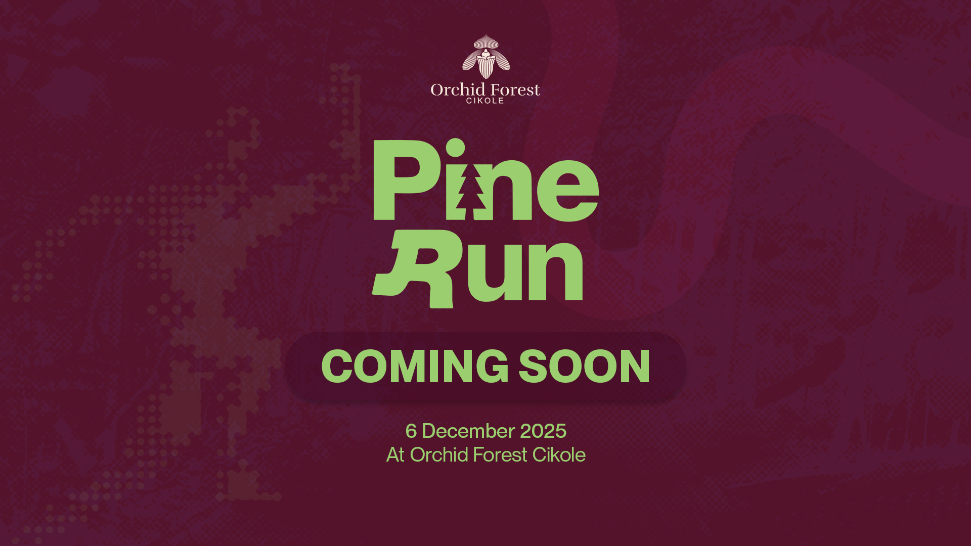 Coming Soon Pine Run